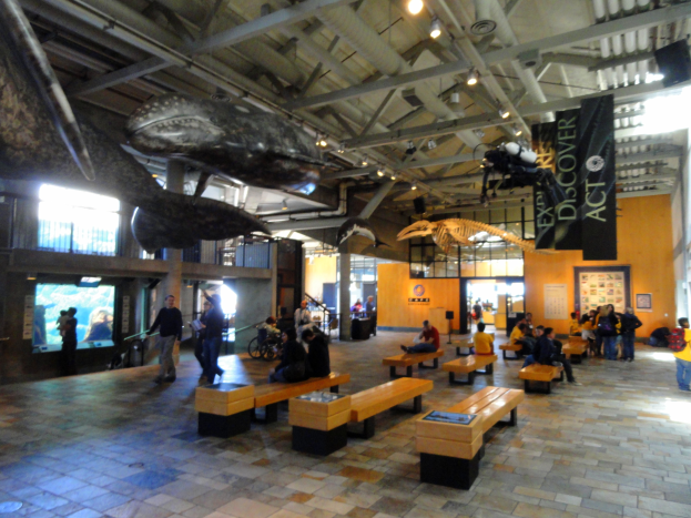 Ein großer Raum mit Menschen auf Bänken und Stehplätzen, mit Schildern an der Decke, Beleuchtung, einem Bildschirm links und verschiedenen Objekten im Hintergrund, der einem Museumsetting ähnelt.