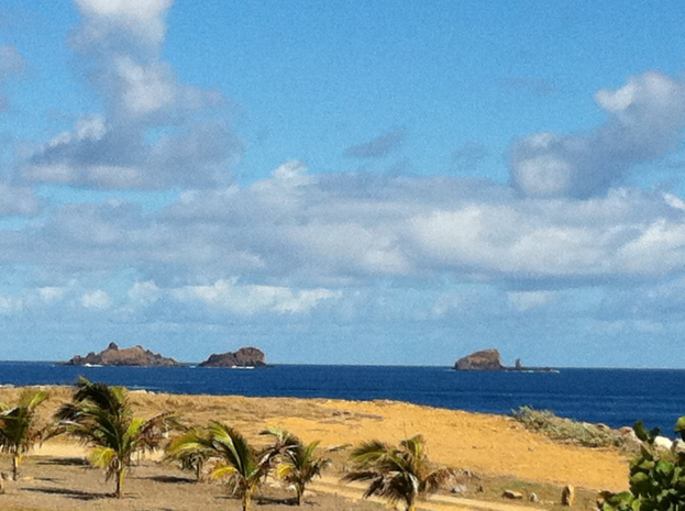 Eine Strandszene mit Palmen, grünem Gras, einem Gewässer, einem blauen und weißen Himmel und fernen Bergen auf Lanzarote.