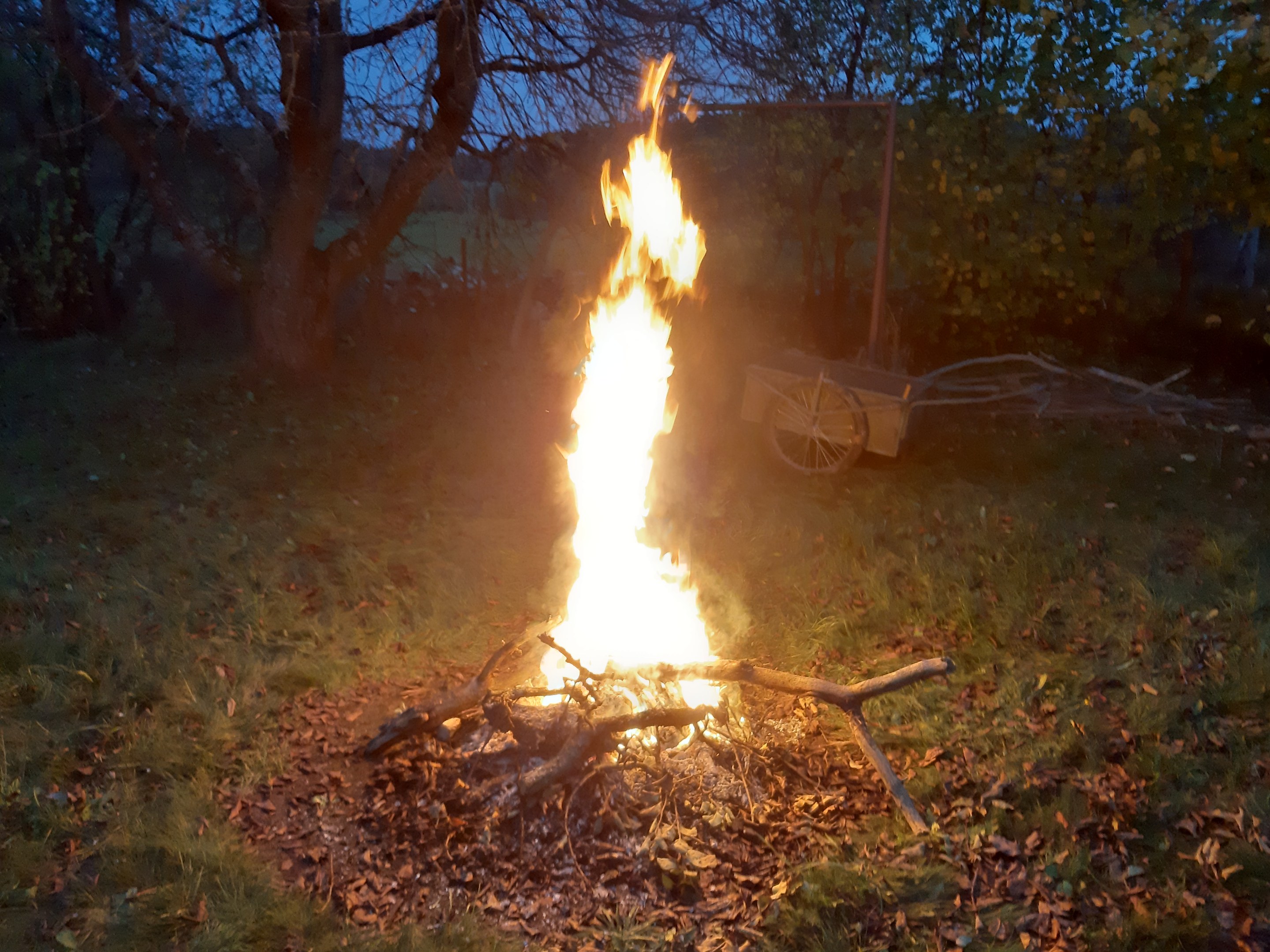 Feuer in einer Grasfläche bei Nacht, umgeben von trockenen Blättern und Stöcken, mit Bäumen und einem Wagen im Hintergrund unter dem Himmel.