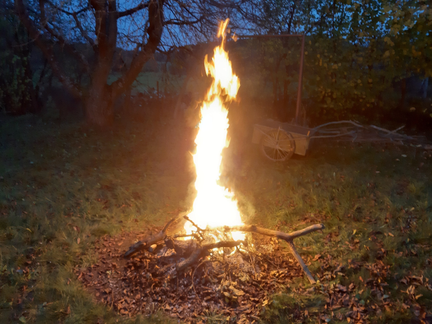Feuer in einer Grasfläche bei Nacht, umgeben von trockenen Blättern und Stöcken, mit Bäumen und einem Wagen im Hintergrund unter dem Himmel.