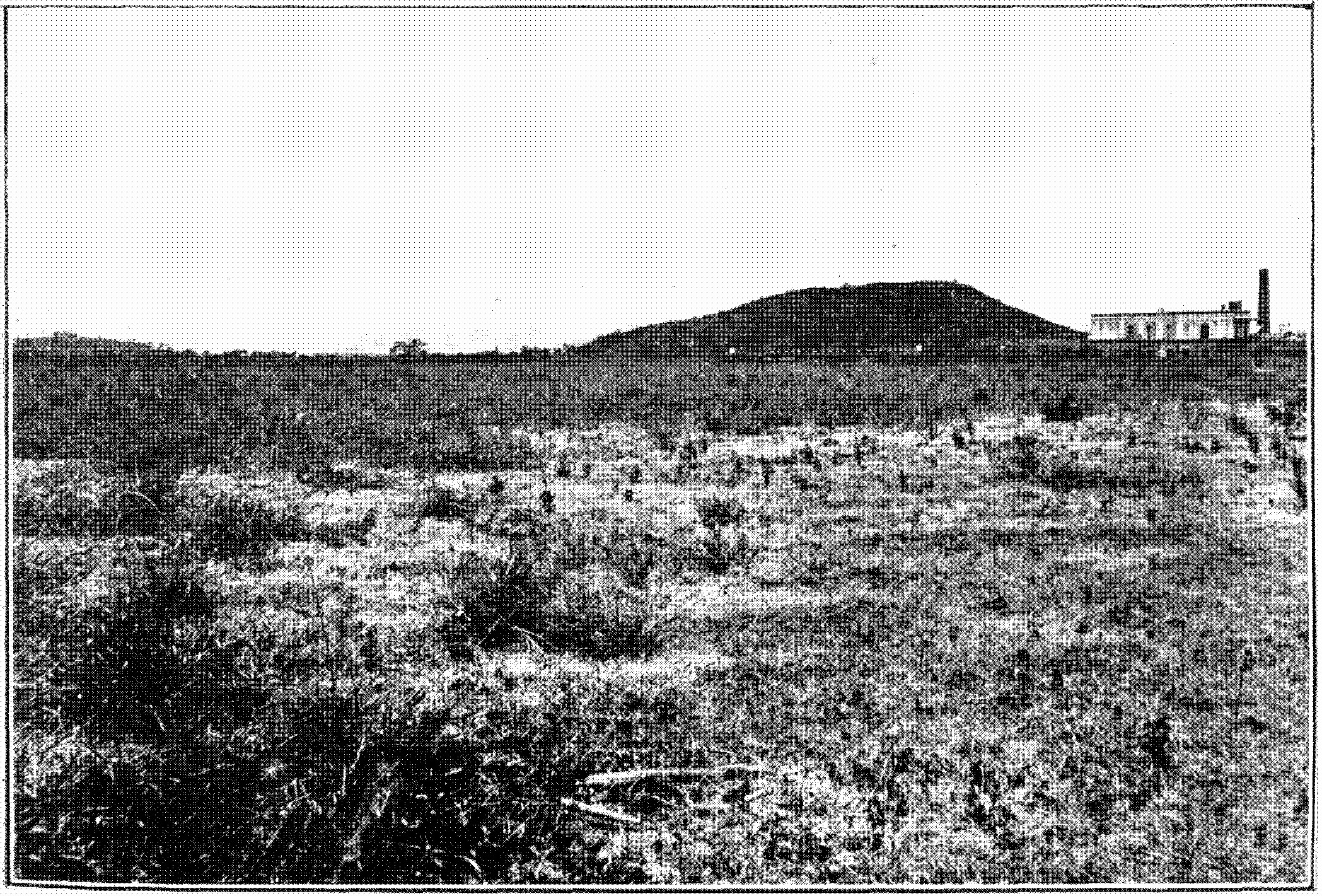 Ein Schwarz-Weiß-Foto eines Feldes mit einem Hügel im Hintergrund, einem Gebäude auf der rechten Seite und einem Himmel oben, mit dem Text "New York State Penitentiary" unten.