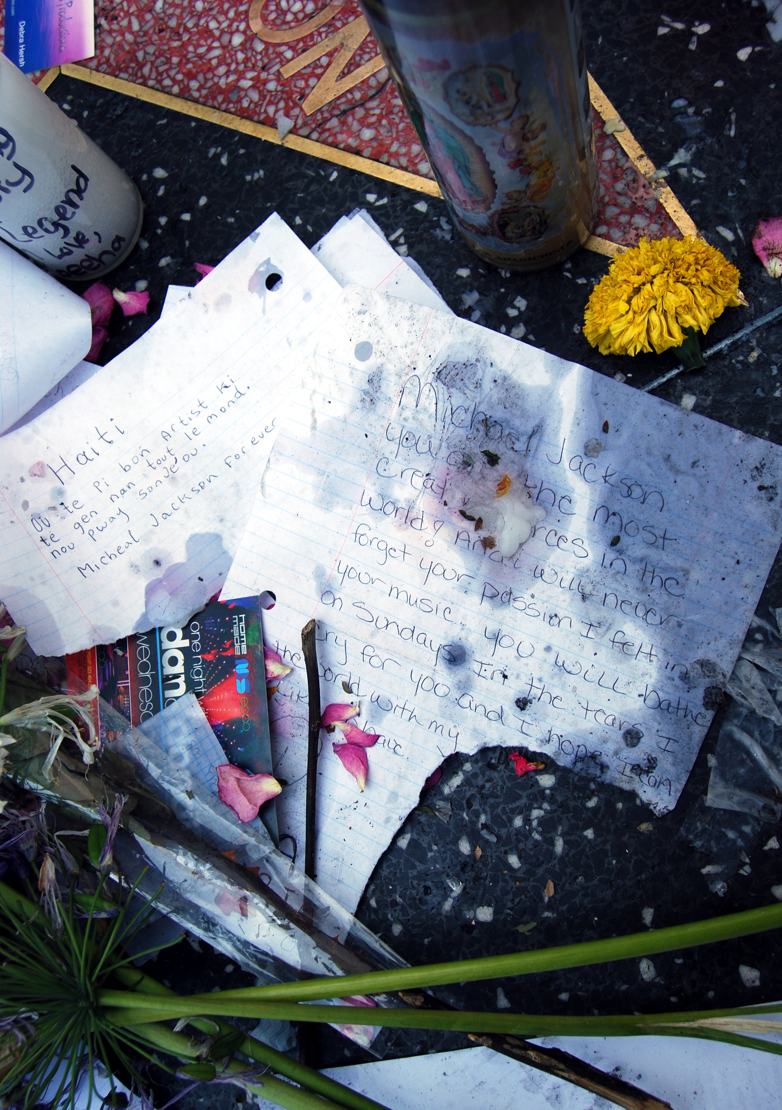 Ein Denkmal auf dem Hollywood Walk of Fame in Los Angeles, Kalifornien, mit einem Strauß voller blühender Blumen, Papieren, Büchern und einem Glas auf dem Boden.