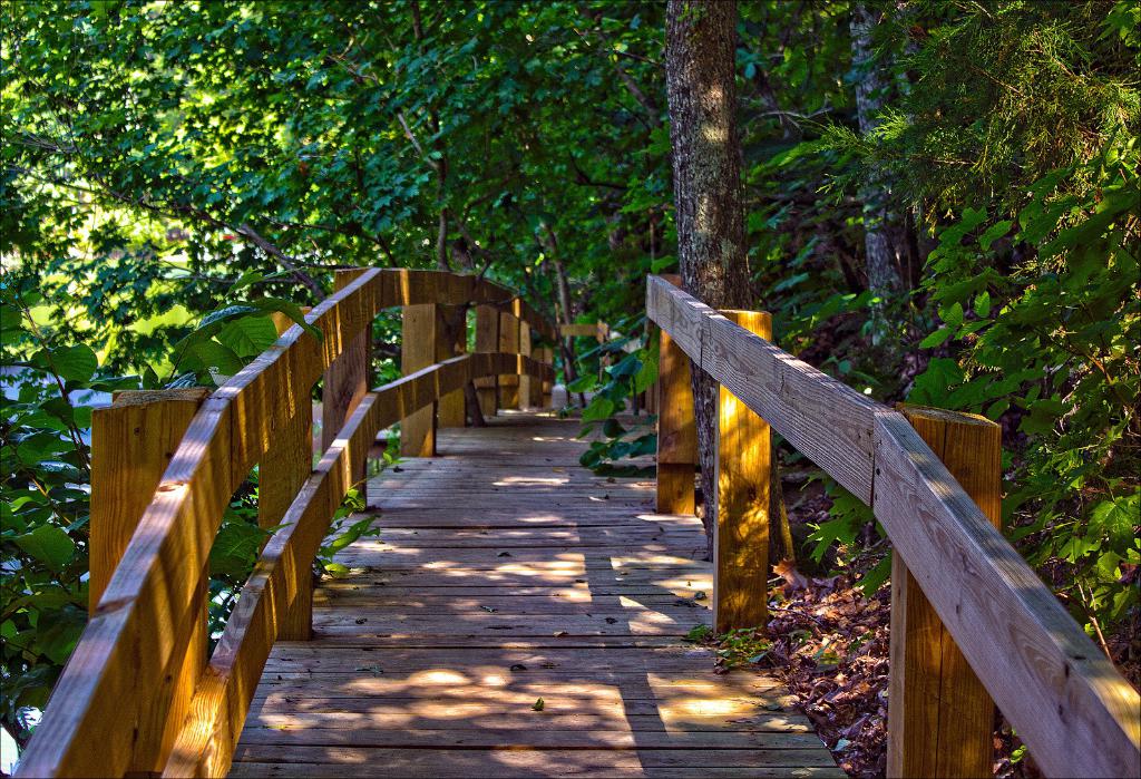 Eine hölzerne Gartenbrücke in der Mitte des Bildes mit Bäumen im Hintergrund.