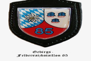 Ein rundes Abzeichen mit der Zahl 85 und deutschem Text unten, das das Logo der bayerischen Fuballmannschaft reprsentiert.