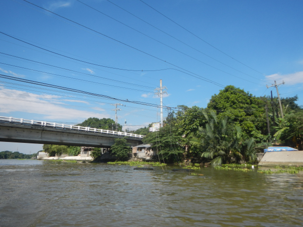 Eine Brücke überspannt einen Fluss mit Stromleitungen darauf, flankiert von Bäumen und Gebäuden auf beiden Seiten, unter einem bewölkten Himmel.