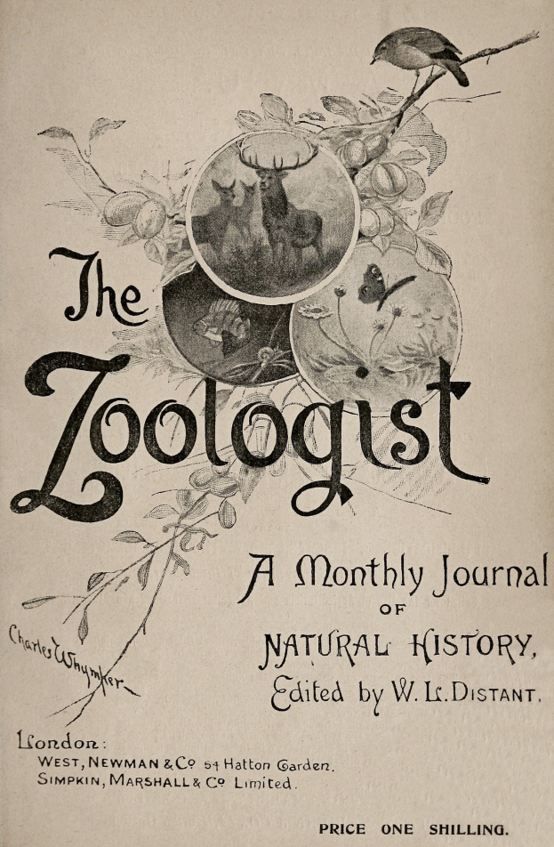 Ein Buch mit dem Titel "Der Zoologe: Ein monatliches Journal der Naturgeschichte" mit einem Vogel auf dem Cover umgeben von realistischen Illustrationen eines Rehs, Kaninchens und Fuchses und fetter schwarzer Titeltext oben.