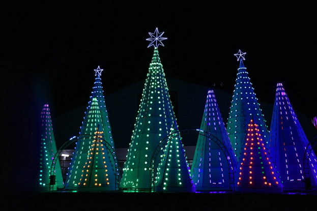 Eine Gruppe von Weihnachtsbäumen, die mit bunten Lichtern beleuchtet und mit Sternen geschmückt sind und eine festliche Atmosphäre schaffen.