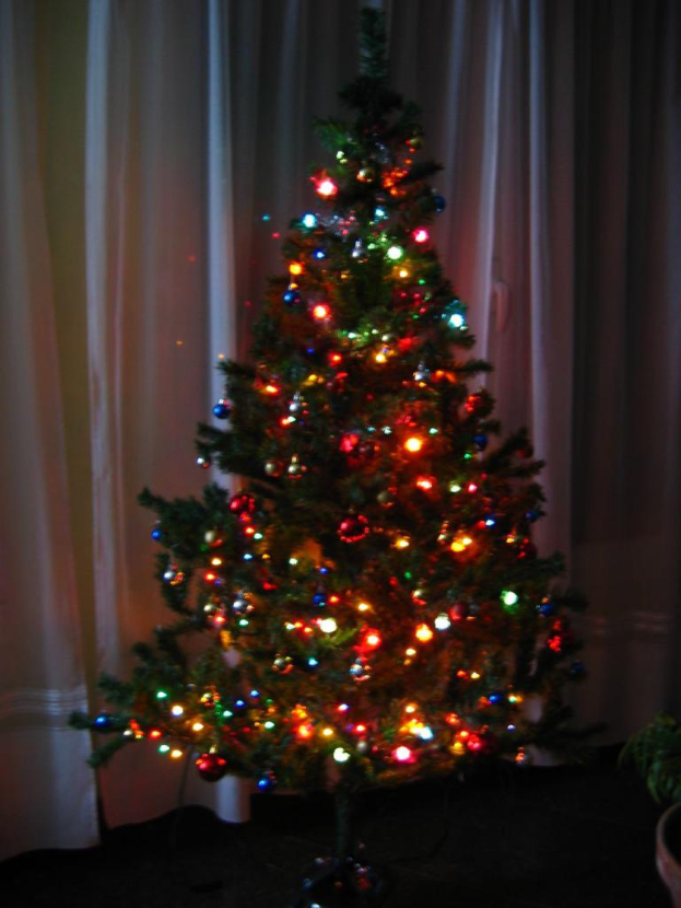 Ein mit Lichtern geschmückter Weihnachtsbaum, mit einem Vorhang und einer Topfpflanze im Hintergrund.