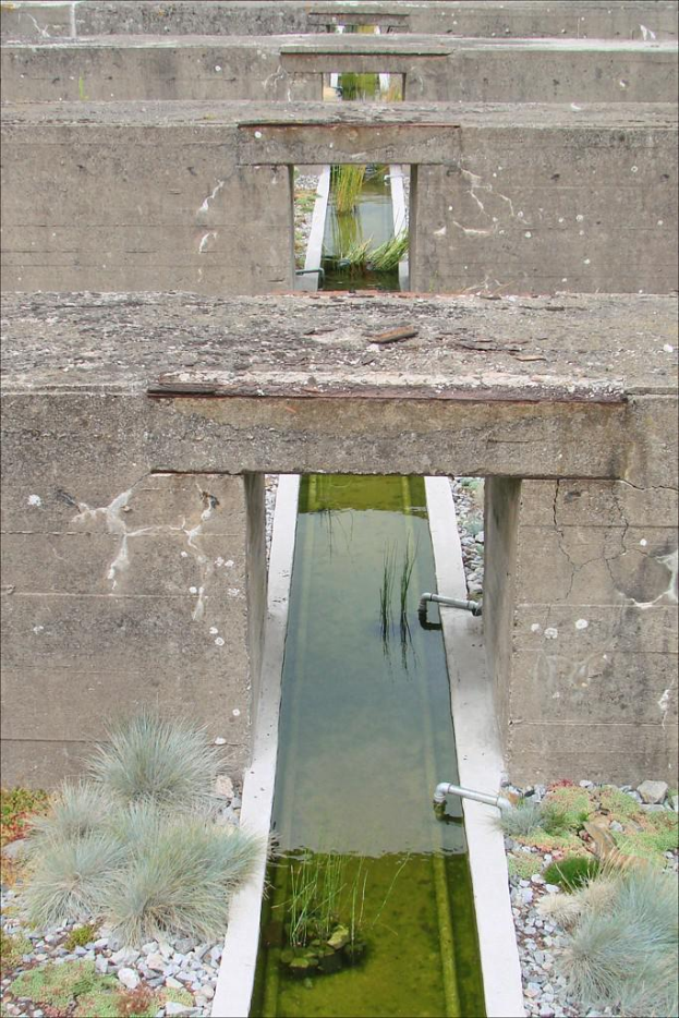 Ein kleiner Wassererntetümpel mit braunen Backsteinbrücken darüber und weißen Kieseln mit etwas Gras im Vordergrund.