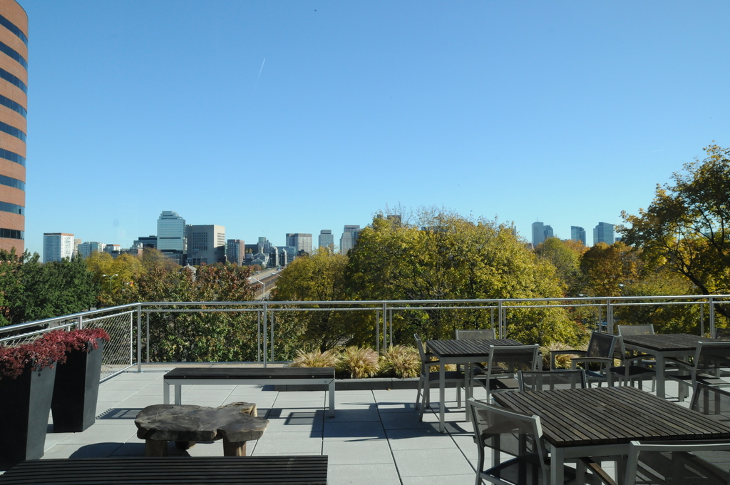 Ein Restaurantinnenraum mit Tischen und Stühlen, einer Pflanze und Blumentopf auf der linken Seite, durch Fenster sichtbare Gebäude und Bäume und den Himmel oben.