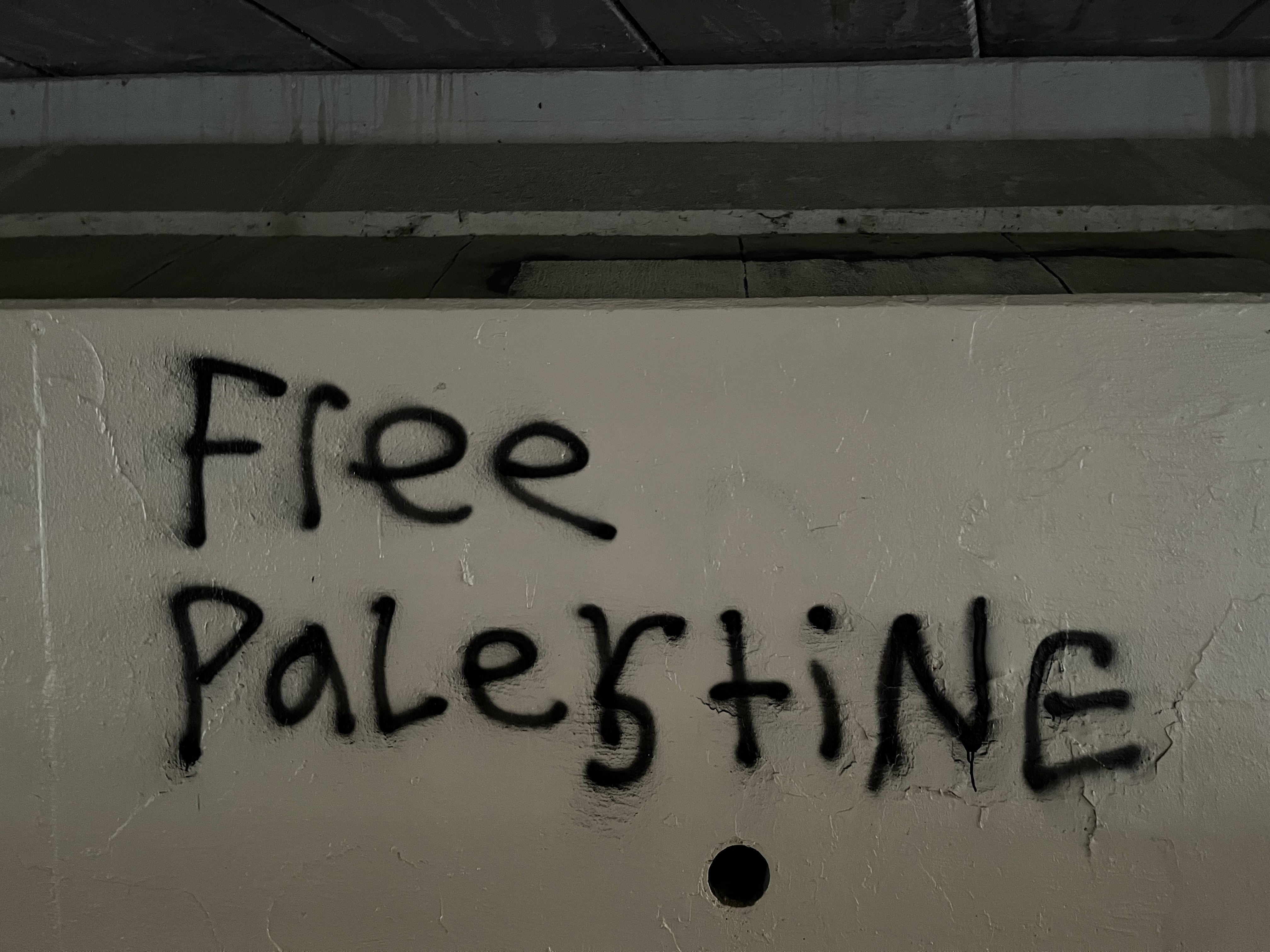Eine Wand mit den Worten "free palestine" in schwarzer Graffiti-Schrift, beleuchtet von einem Licht oben.