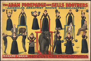 Plakat für die konsolidierte Zirkusshow von Adam Forepaugh und Sells Brothers mit Performern auf Hockern und einem Elefanten in der Mitte sowie Werbetext.