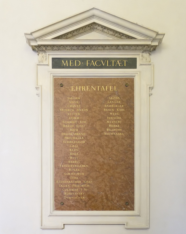 Weißer rechteckiger Schild an einer Gebäudewand mit schwarzer fettgedruckter Schrift, die "Med Facilitat" in der Mitte liest.