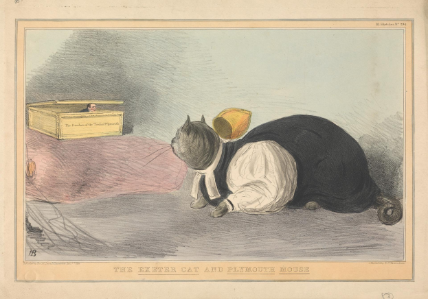 Ein schwarzer und weißer Kater liegt auf dem Boden neben einer Kiste mit einer Person darin, und Text ist unten im Bild sichtbar.