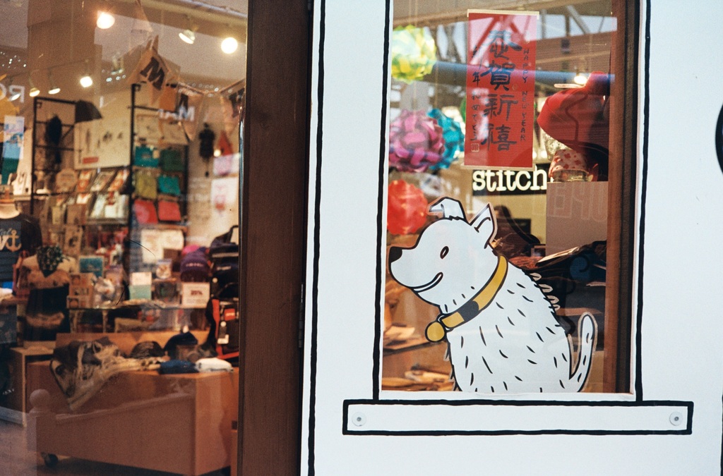 Eine Illustration eines Hundes mit Text auf der rechten Seite und links ein Raum mit Lampen, Flaggen, Regalen, Sofas, Kleidung, Dekorationen, Menschen, Stühlen und verschiedenen anderen Gegenständen.