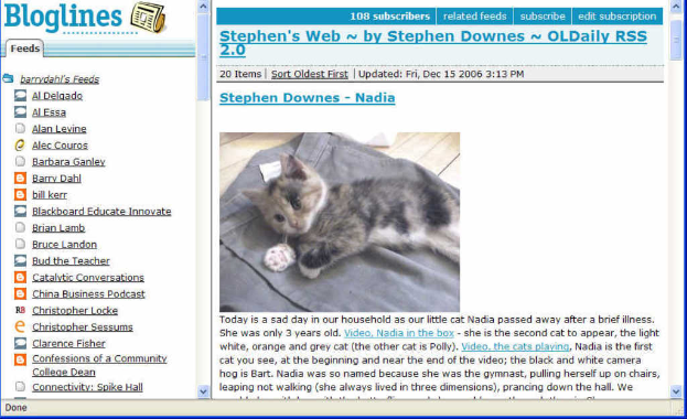 Eine Blogseite mit Text und einer Katze auf einem Tuch.