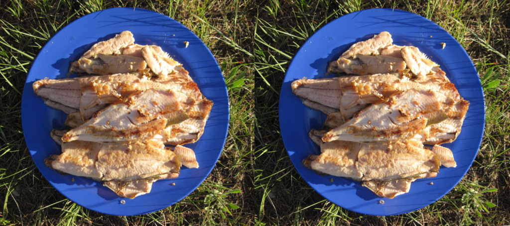 Ein Collage-Bild aus verschiedenen Fleischsorten auf Tellern.