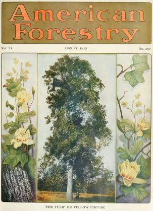 Titelbild der *American Forestry Magazine*, August 1915, mit leuchtenden Illustrationen von Bäumen, Blumen und Laub.