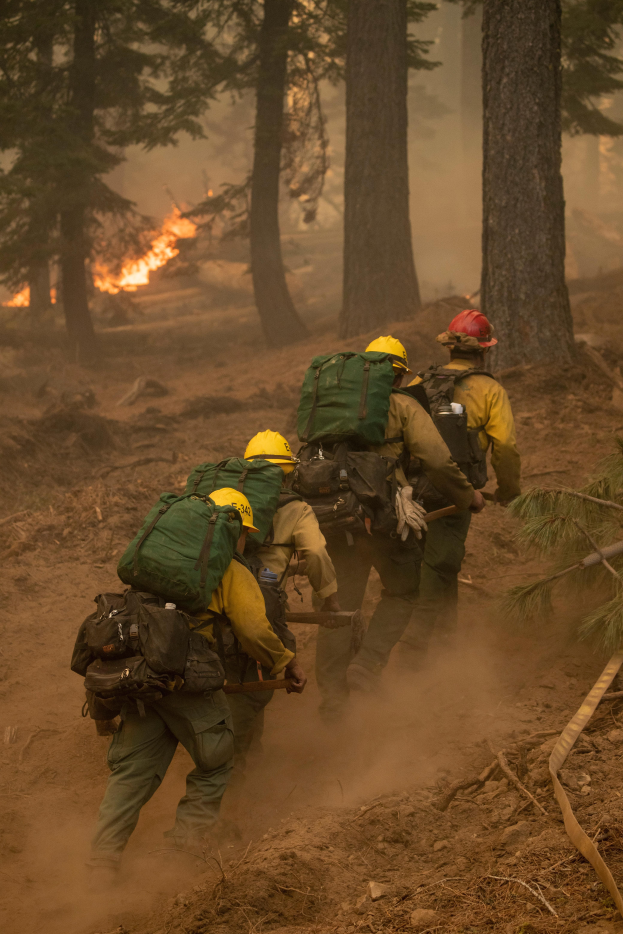 Eine Gruppe von Feuerwehrleuten in Helmen und Rücksücken geht durch einen Wald, mit einem Feuer in der Ferne.