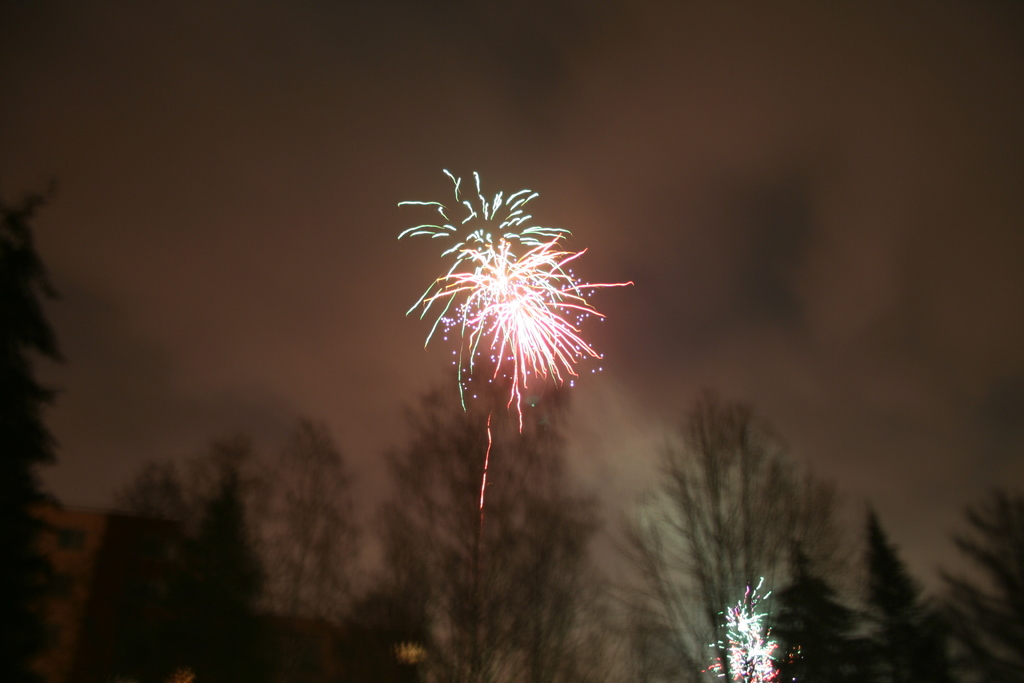 Umgestürzte Bäume im Vordergrund mit Feuerwerk und Wolken am Himmel.