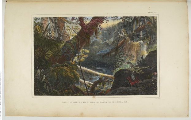 Ein aufgeschlagenes Buch zeigt ein Gemälde einer üppigen Dschungelszene mit Bäumen, Pflanzen, Felsen und einem Wasserfall, mit Text unten.