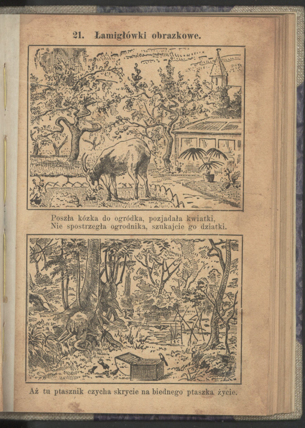 Ein aufgeschlagenes Buch mit einer detaillierten, realistischen Zeichnung eines Rehs in einem bewaldeten Gebiet mit grünen Bäumen und einem Haus im Hintergrund.