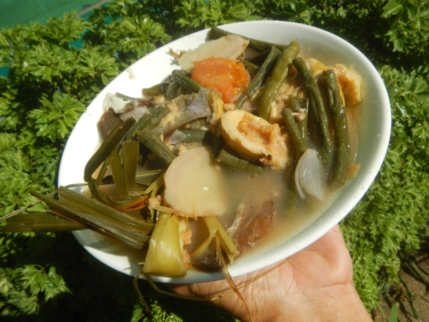 Eine Person hält eine dampfende Schüssel Gemüsesuppe mit Karotten, Sellerie und Zwiebeln sowie ein paar Pflanzen im Hintergrund.